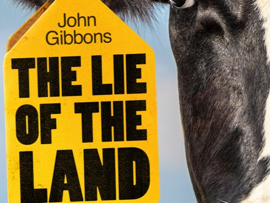 The Lie of the Land: In Conversation with John Gibbons
