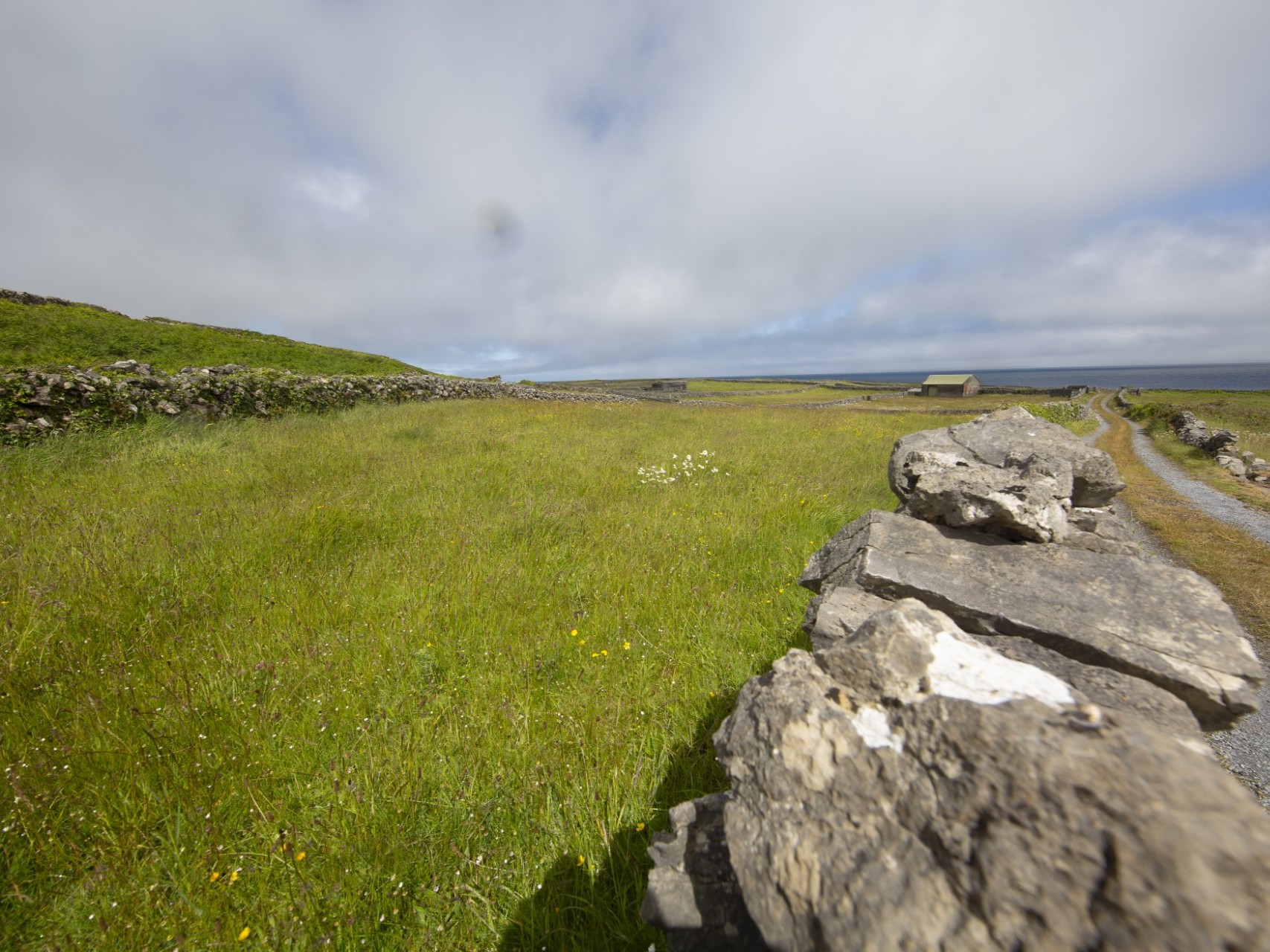 Outdoor Exhibition: ReViewing Ireland: A Photo Study of Ireland’s Environment